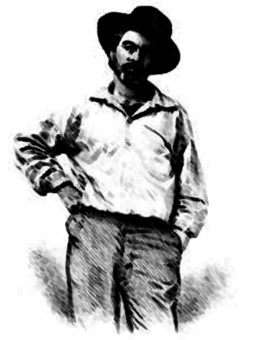 Title details for Leaves of Grass, Book II by Walt Whitman - Wait list